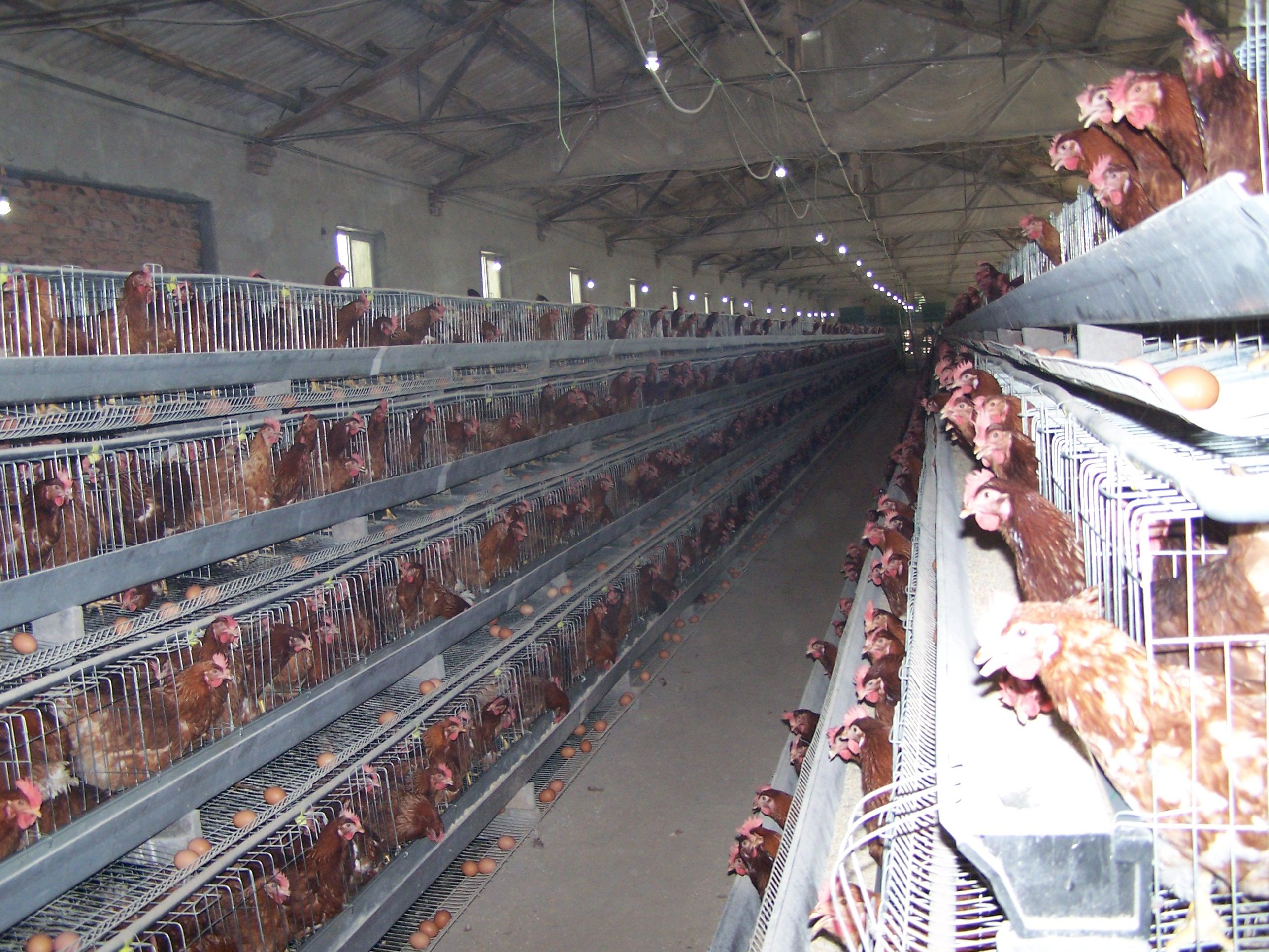 德赢·(VWIN)官方网站-AC米兰官方相助同伴