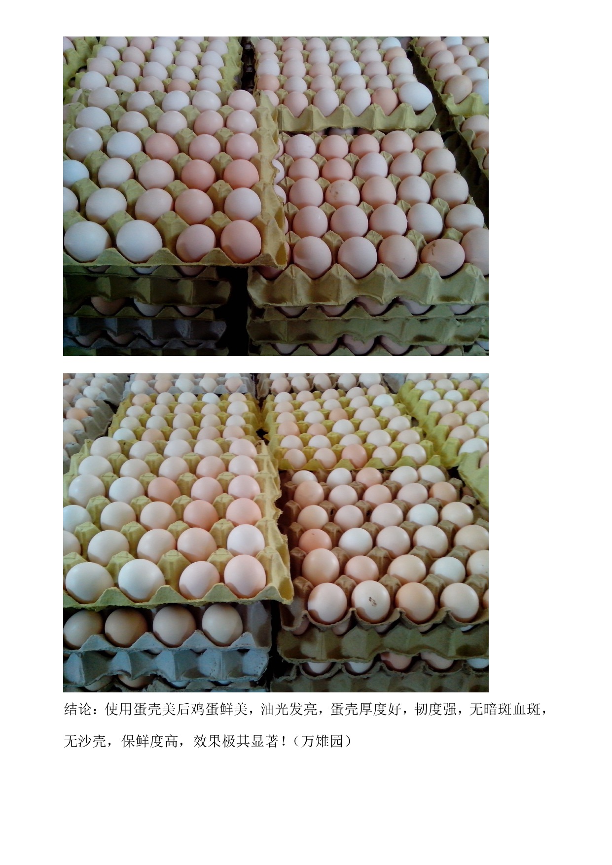 德赢·(VWIN)官方网站-AC米兰官方相助同伴