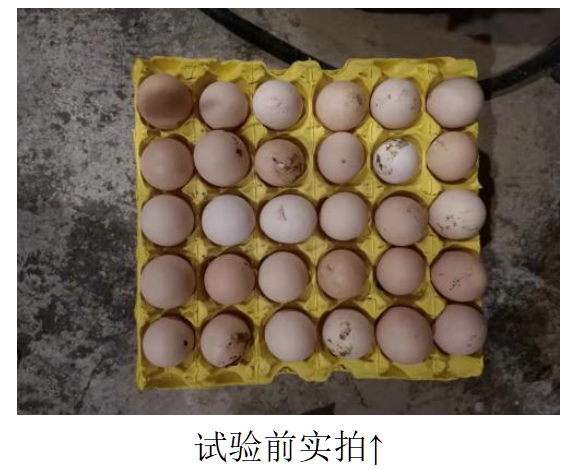 德赢·(VWIN)官方网站-AC米兰官方相助同伴