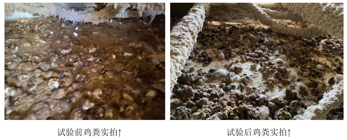 德赢·(VWIN)官方网站-AC米兰官方相助同伴